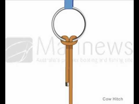 how to tie cow hitch