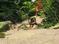 Jeep JK Unlimited Trail Riding 2 - RC