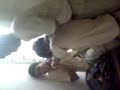 SCHOOL FIGHT..!!