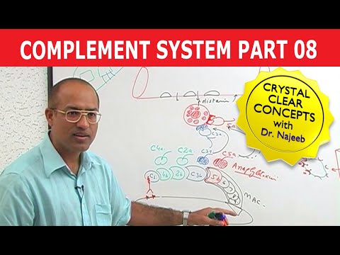 Complement System - Immunology - Part 8/18
