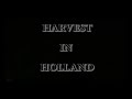 Cannabis XTRA WEED HARVEST  "legal weed in holland 2007"