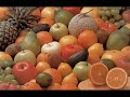 Agricultura Natural (1)