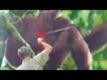 videos de Parents look to government to protect their kids from nature