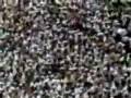 Laa elaaha elAllah