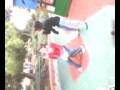 videos de pelea de gallos 3