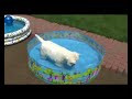 Mickey Bobbing for Golf Balls