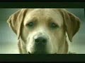 Bridgestone TV Commercial