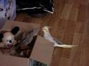 sammy en e.t