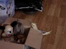 sammy en e.t