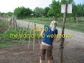 My piece of land in Nicaragua