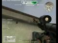 Warrock Philippines - Xauen and Cadoro Bugs