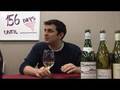 Sancerre Wines and a Sneak Peak to Bordeaux - Episode #202