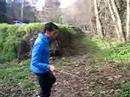 La araña y el bosque, todo pica