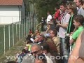 Pomlad - Gallery 0 - 0 Pomlad - Gallery 0 - 0