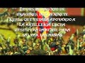 Batalla de Majadahonda 11 Agosto 1812 (Madrid)