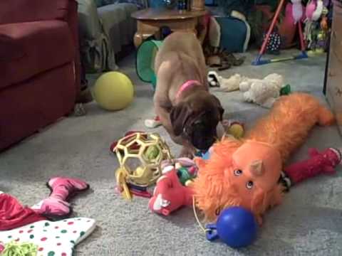 bullmastiff