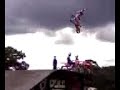 bold dog stunt team