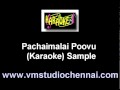 Tamil Karaoke Pachaimalai Poovu Karaoke