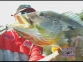 Momento da Pesca : Pesca ao Extremo