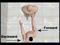 Tai Chi and Full Body Power