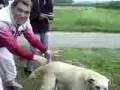 Annis et pacO le chien mdr