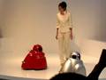 Biomimetic Robot Car made by NISSAN Motors in CEATEC JAPAN 2008.