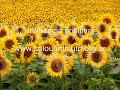 Meditacion - Influencia positiva