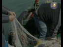 La pesca miracolosa ortigia 27-29 giugno 2008