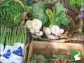 Pesticides In Foods Affect Male Fertility