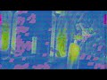 Gucci by Gucci - Directed by David Lynch