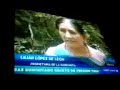 cerdo con cara de persona