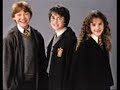 harry potter and friends