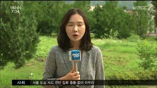 뉴스투데이