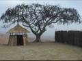 videos de Malawi the Movie