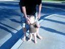Baby Jeff and Daddy trekking