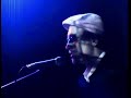 Humming bird live
