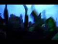 Dreadzone Love The Life Official Music Video and Lyrics