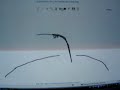 Line rider schmi thib looping