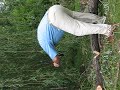 Andrei