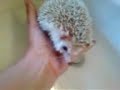 Kracka Bathtime! 01