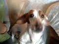 Tubby Singing