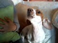Tubby Singing