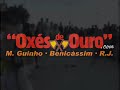 roda de capoeira y acrobacias grupo oxes de ouro