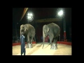 circus safari european tour 2012 show - YouTube