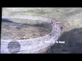 MX vs. ATV Untamed Crashes and Biffs