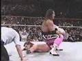 Survivor Series 1992-Shawn Michaels vs. Bret Hart
