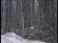 Motocross Nunspeet 2003 - motorcross honda cr 125 cr125 mx