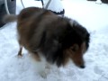 Fun in the snow