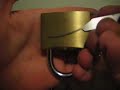 Falle-Safe Style Picks