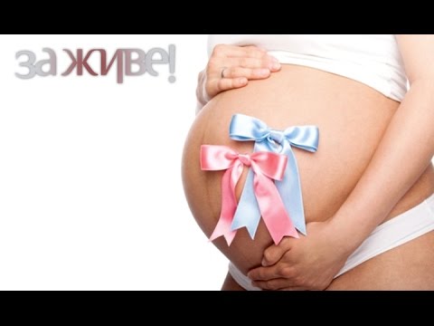 Метасова Елена Николаевна - Центр здоровья «Афродита Малина при беременности, можно ли малину беременным